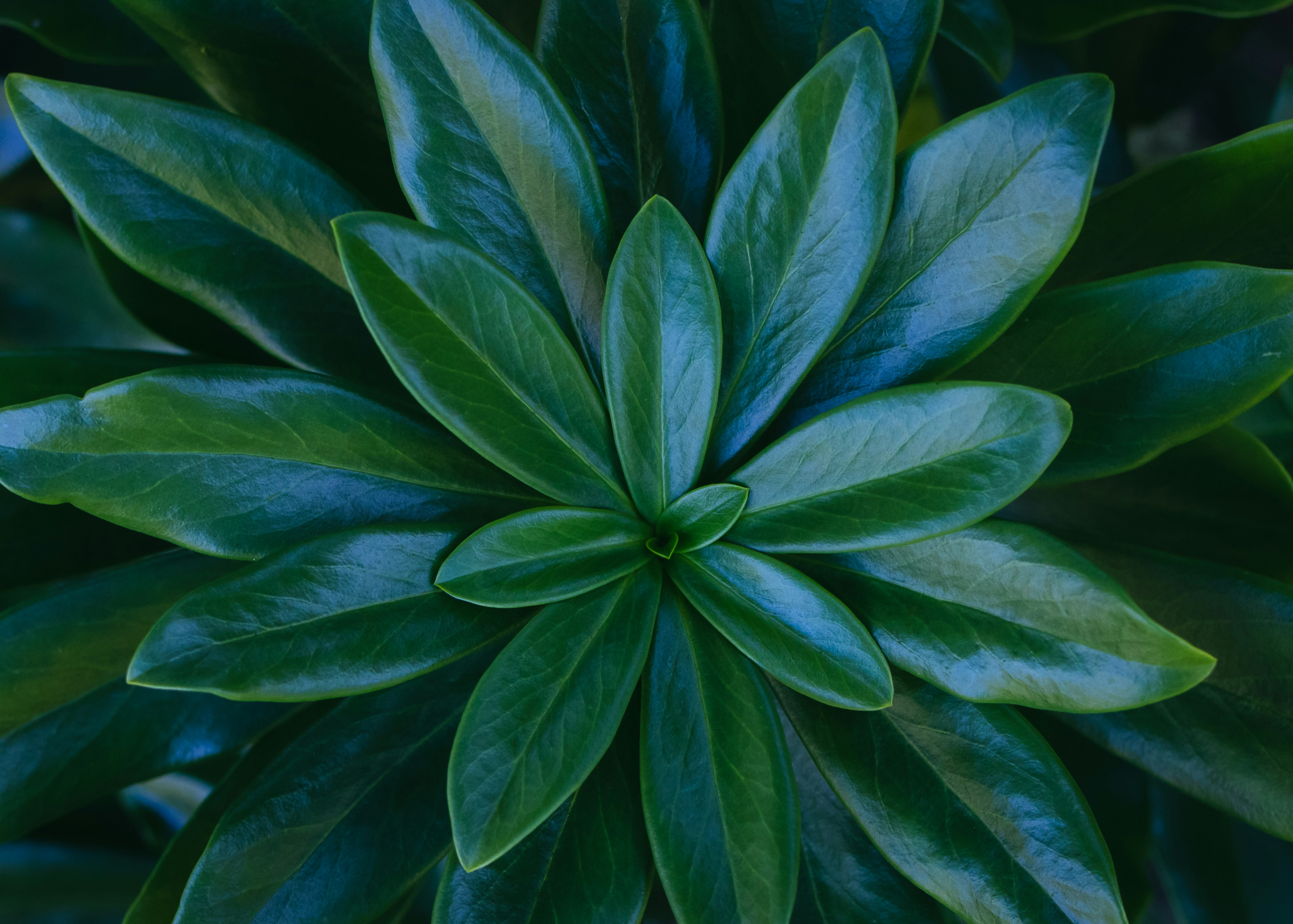 Здание GreenLeaf